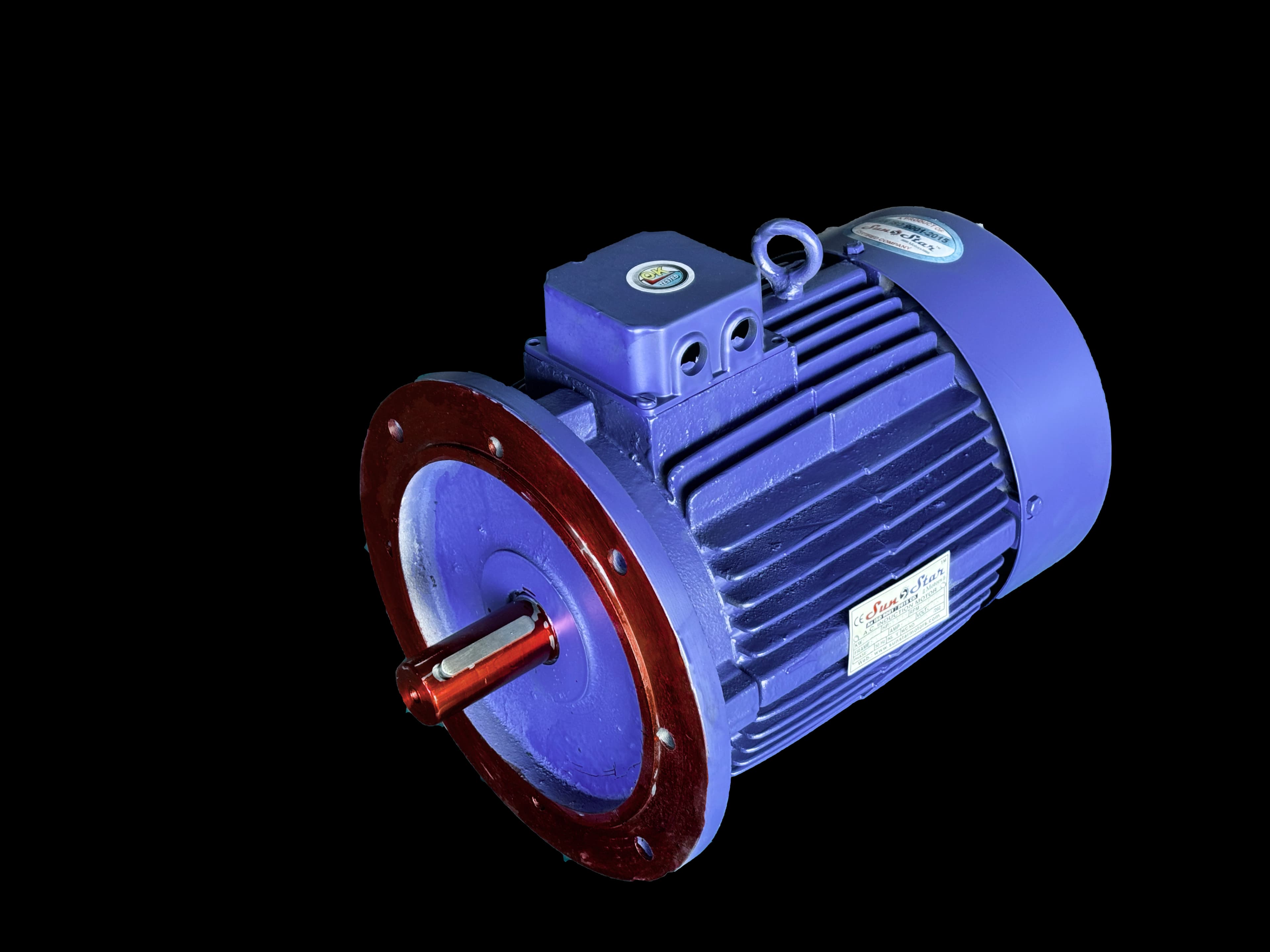 Flange Mounted Motor thumbnail 2